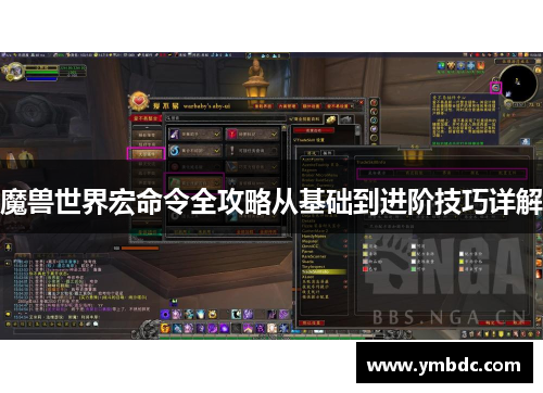 魔兽世界宏命令全攻略从基础到进阶技巧详解